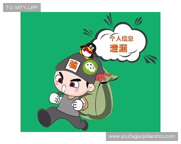 PA官网安全登录指南，保障玩家账号信息安全与个人隐私保护